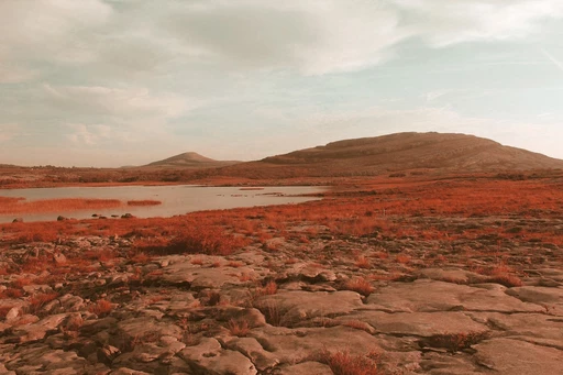 Burren national park