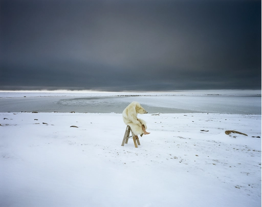 Scarlett Hooft Graafland - Polar Bear (2007)