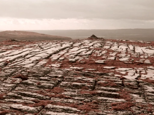 Burren national park