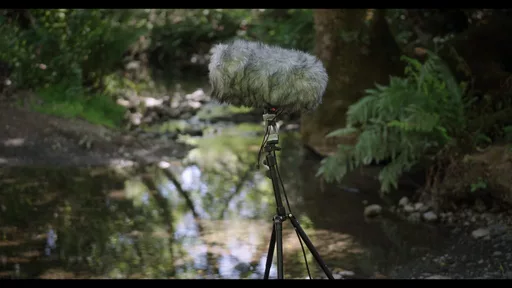 Out in the field, Krause records dawn, midday, dusk, and nighttime choruses. Bernie Krause, 2021 © Masha Karpoukhina for Fondation Cartier pour l’art contemporain.