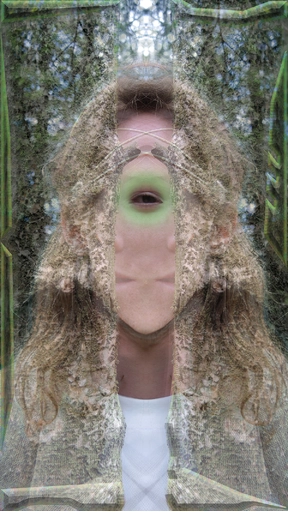 Jasper Griepink, Digital Druid, digitale collage, 2020.